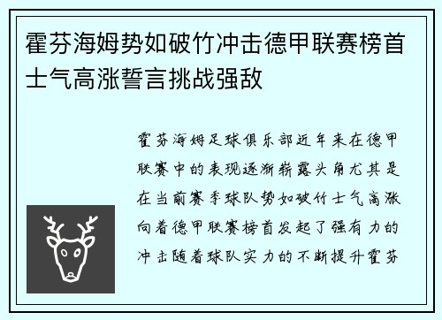 霍芬海姆势如破竹冲击德甲联赛榜首士气高涨誓言挑战强敌